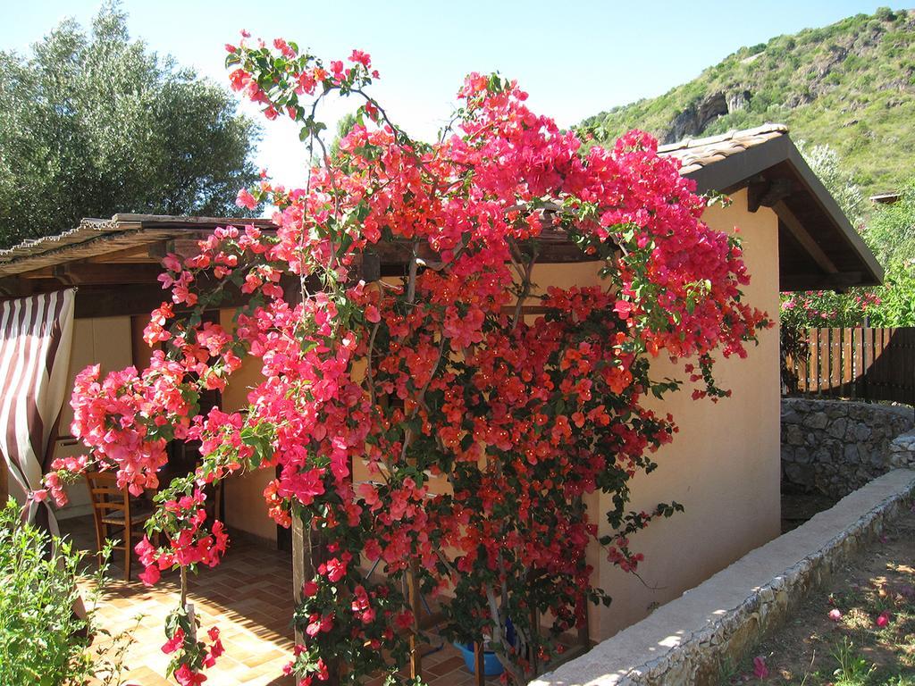 Family Resort Cala Di Luna مارينا دي كاميروتا المظهر الخارجي الصورة